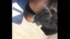 Abspielen Ich gebe ihm einen kleinen Schwanz auf die Schnauze